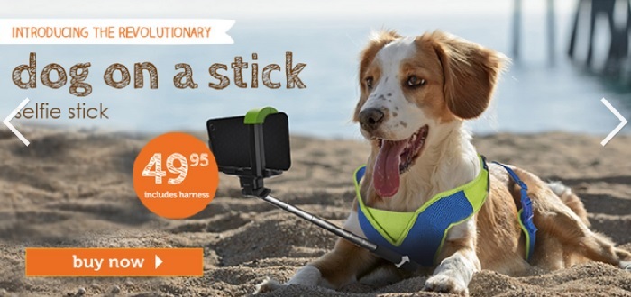 Petco April Fools Dog Selfie