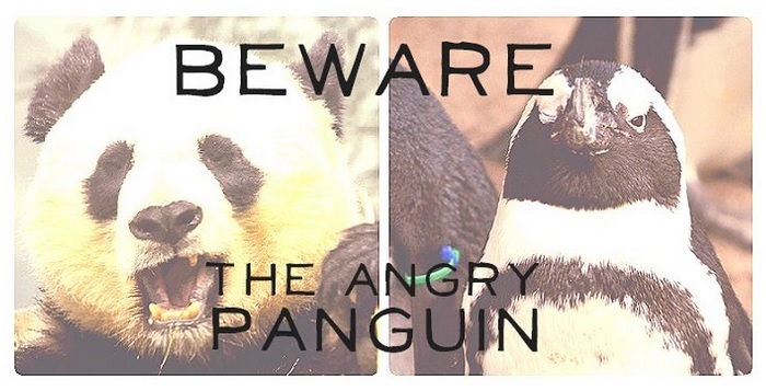 Beware The Google Penguin And Panda Algorithms