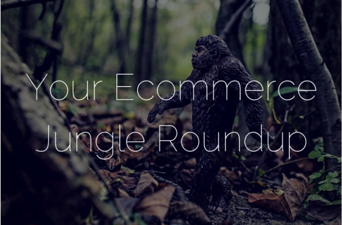 Ecommerce Roundup