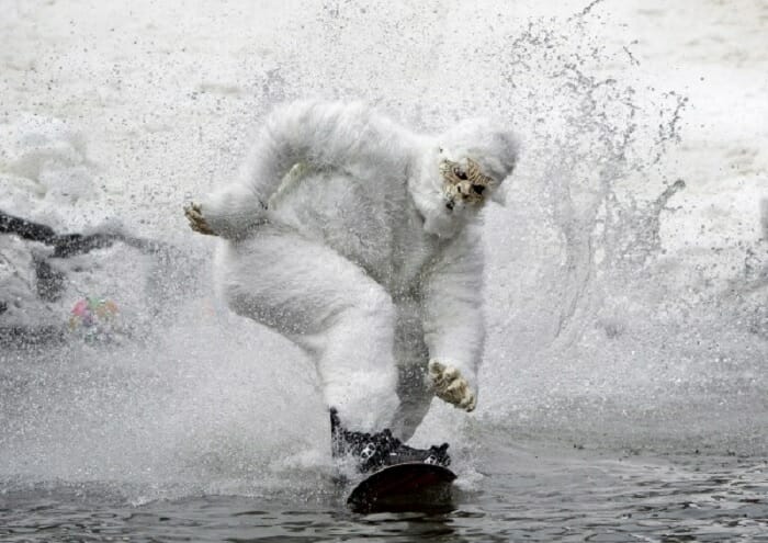 Snowboarding Gorillas Are An Essential On Page Optimisation Tool