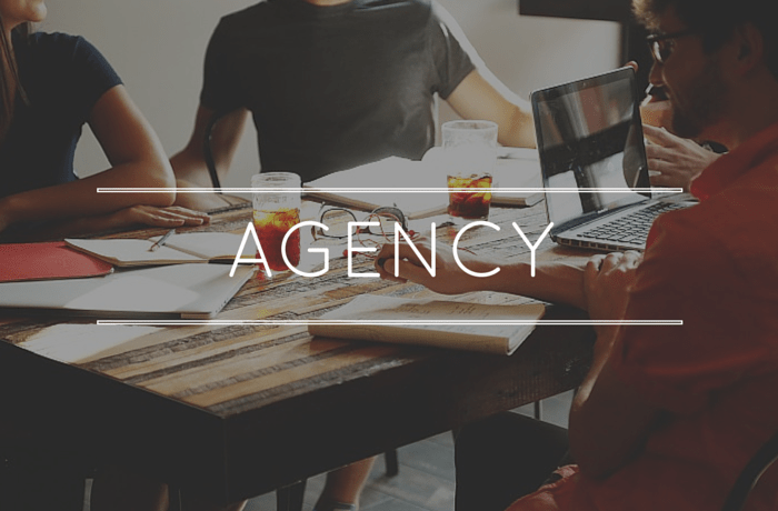 Agencies For Ecommerce Management