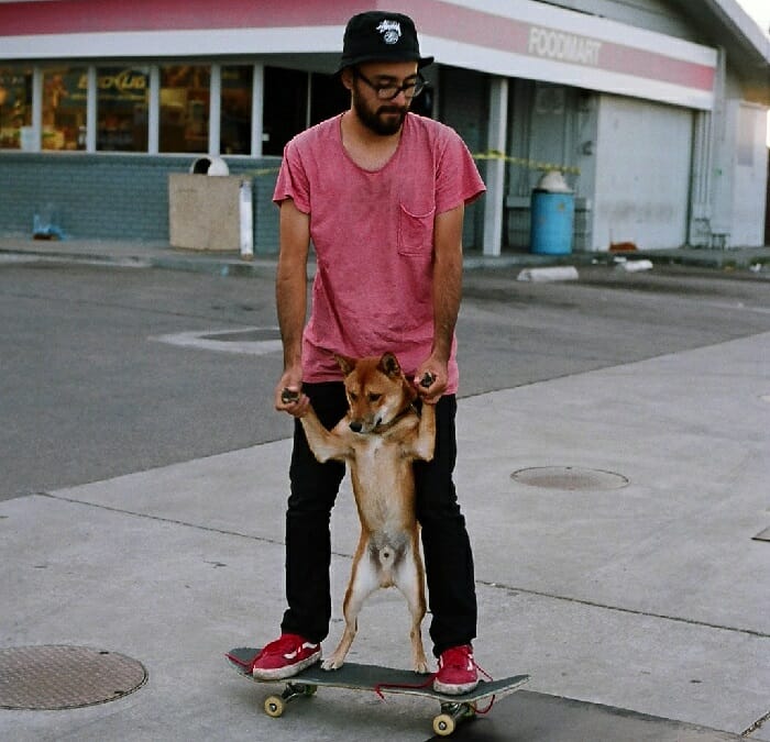 Bearded Tandem Skateboarding With Dogs